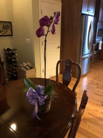Orchid from my work family...