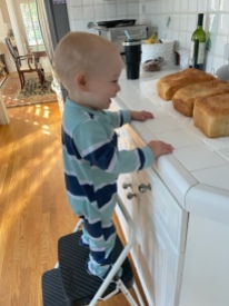 Chase learning to bake bread with Lala!